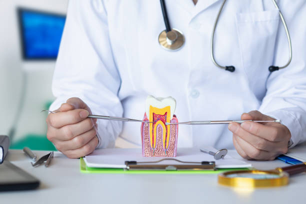 Best Chipped Tooth Repair Near Me  in Ottawa Hills, OH